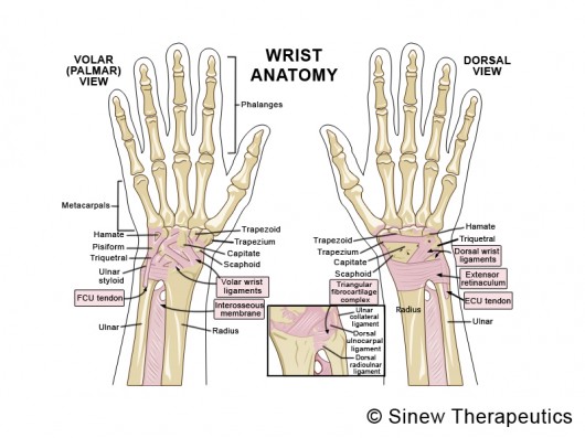What are some good exercises for tendinitis of the wrist?